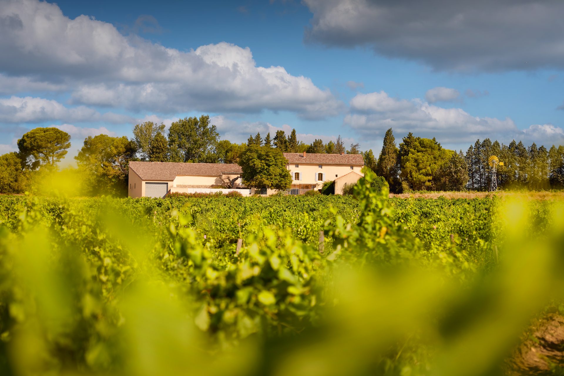 domaine de panisse aoc chateauneuf du pape (17)