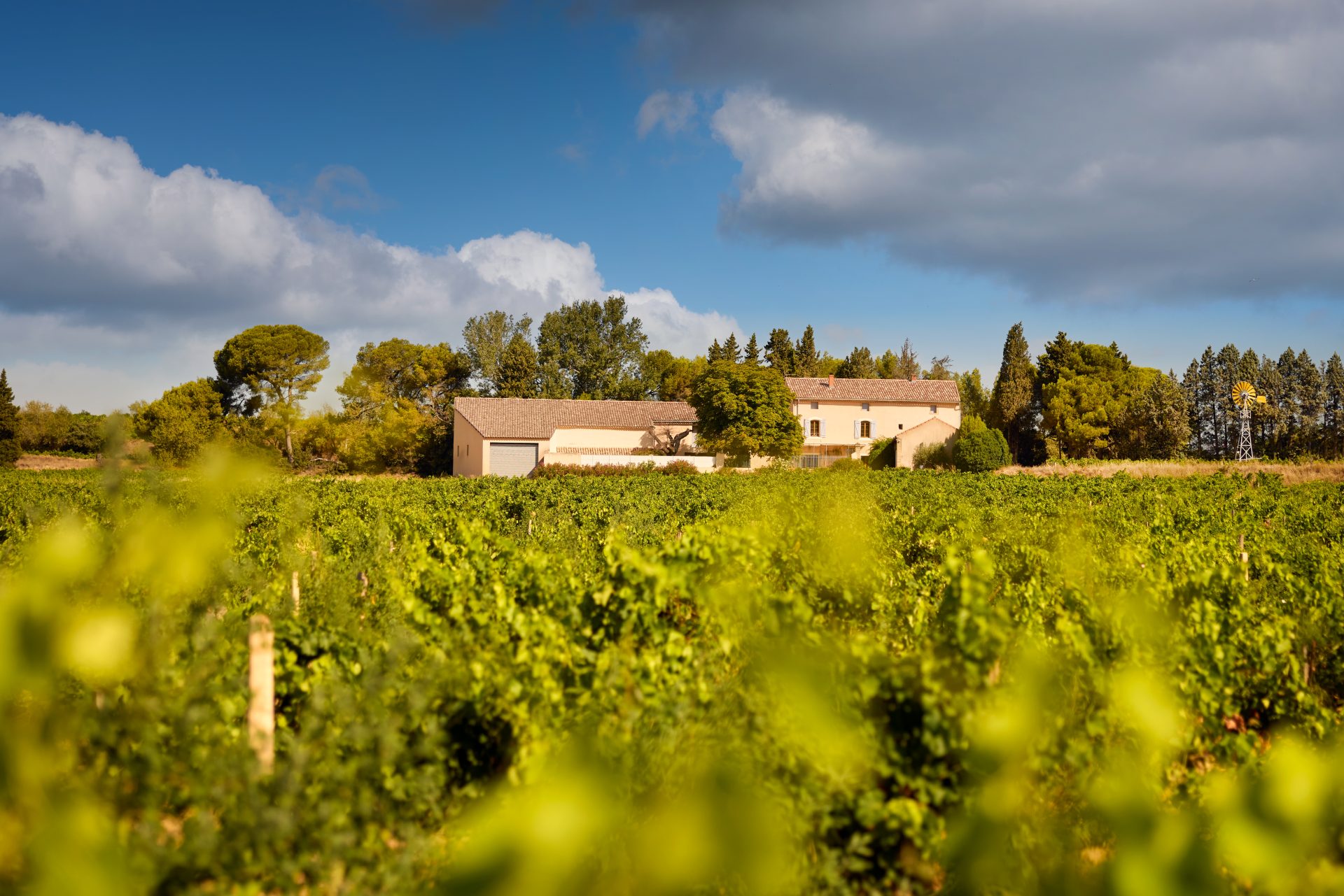 domaine de panisse aoc chateauneuf du pape (19)
