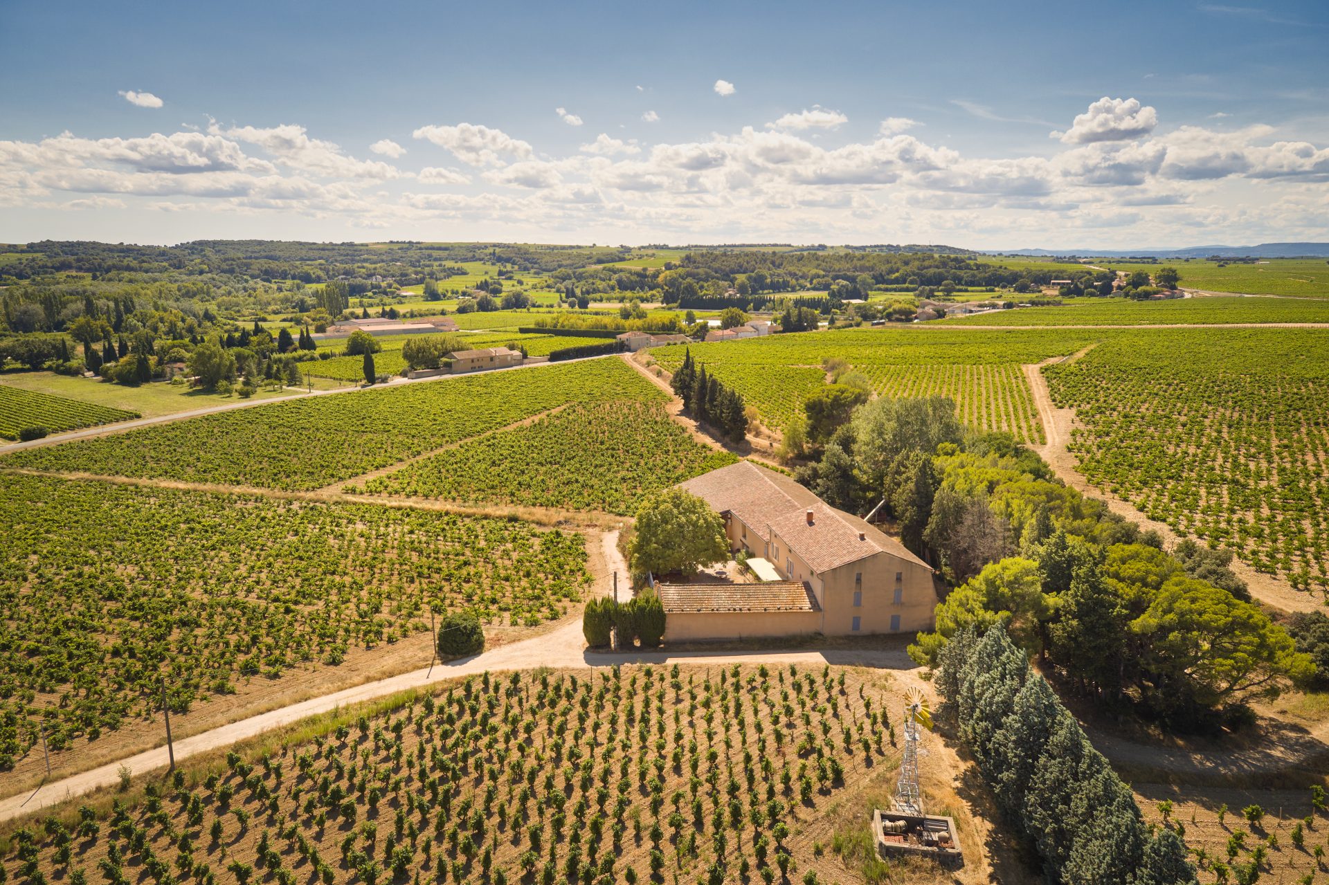 domaine de panisse aoc chateauneuf du pape (2)