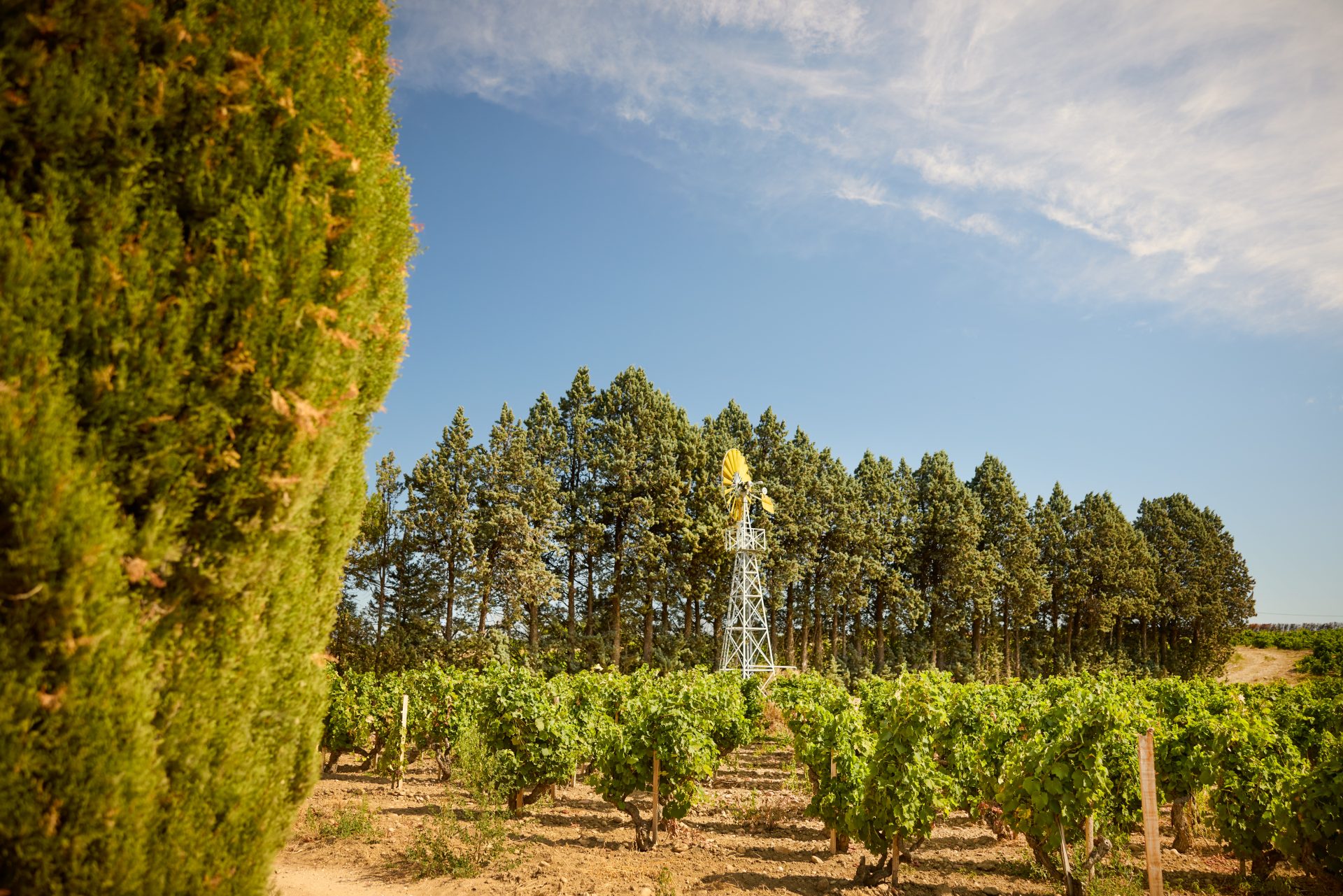 domaine de panisse aoc chateauneuf du pape (30)