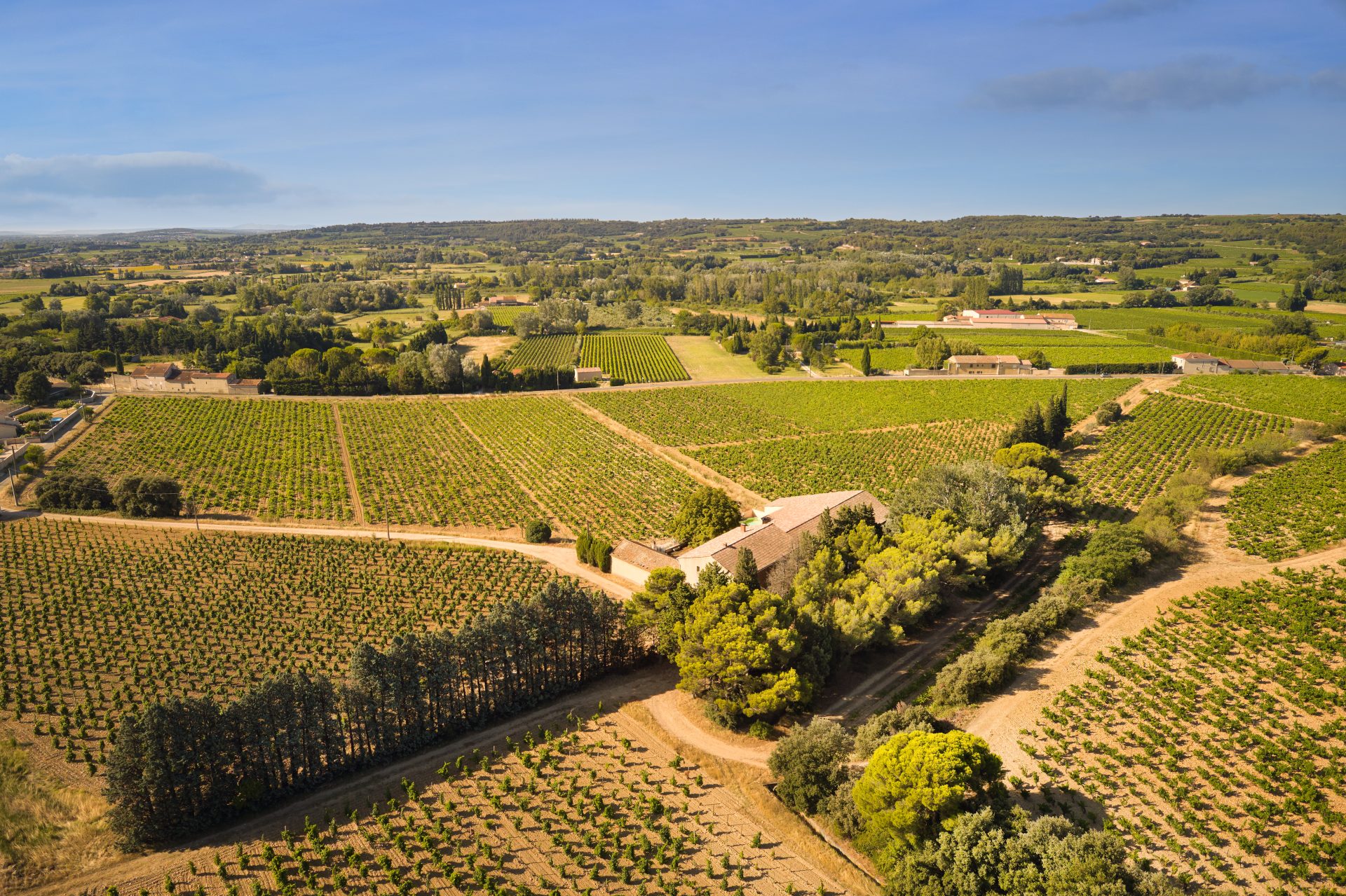 domaine de panisse aoc chateauneuf du pape (44)