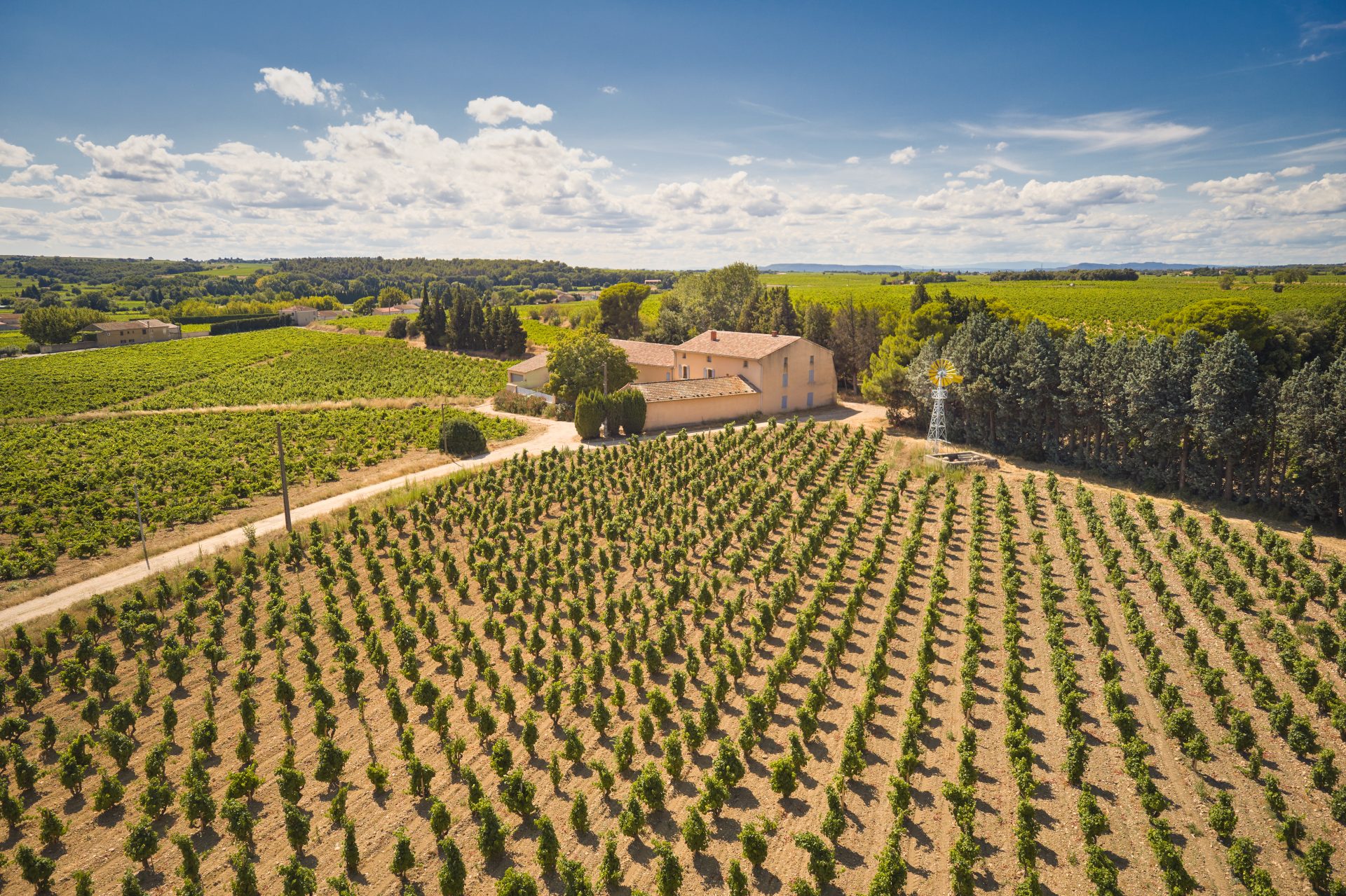 domaine de panisse aoc chateauneuf du pape (46)