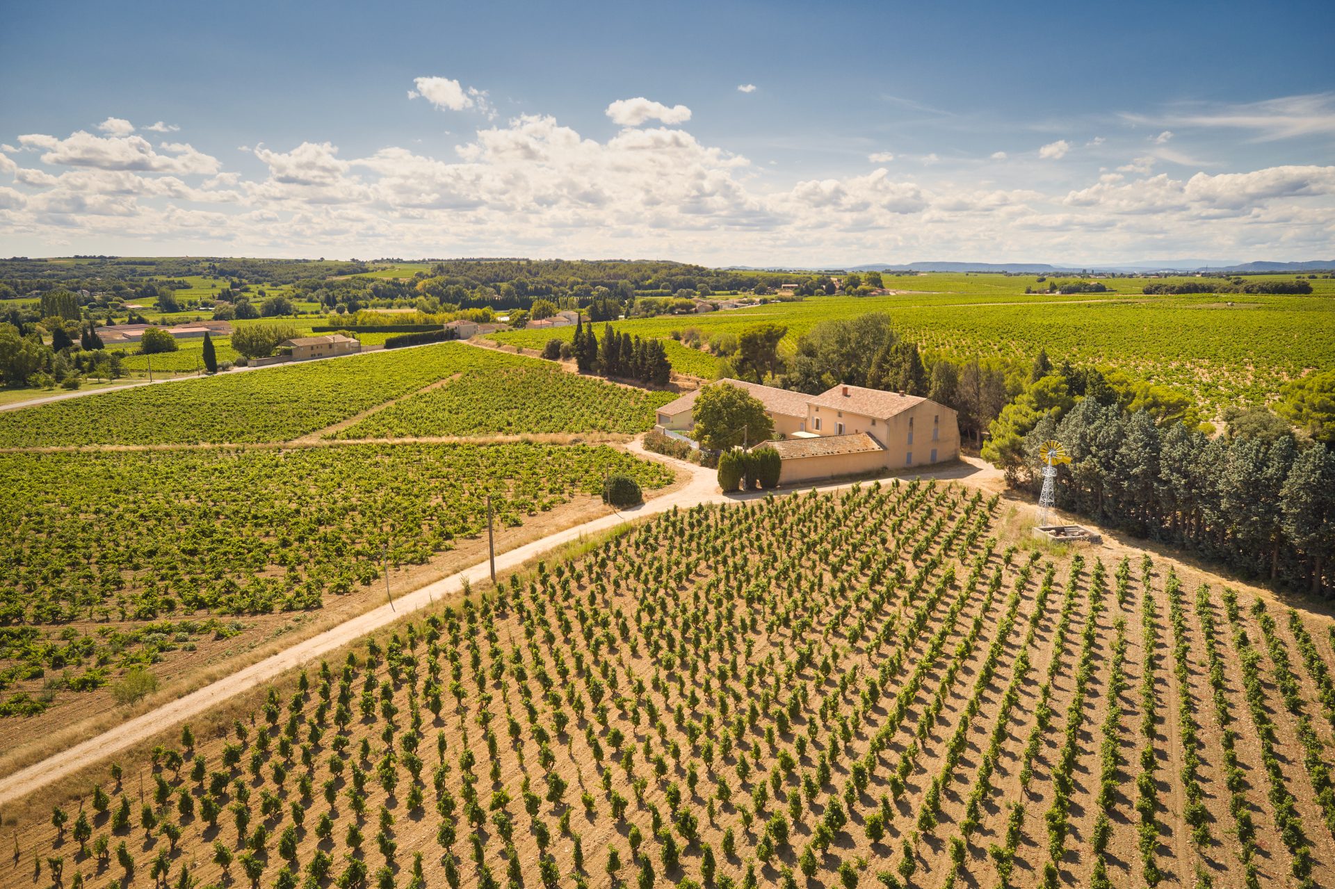 domaine de panisse aoc chateauneuf du pape (47)