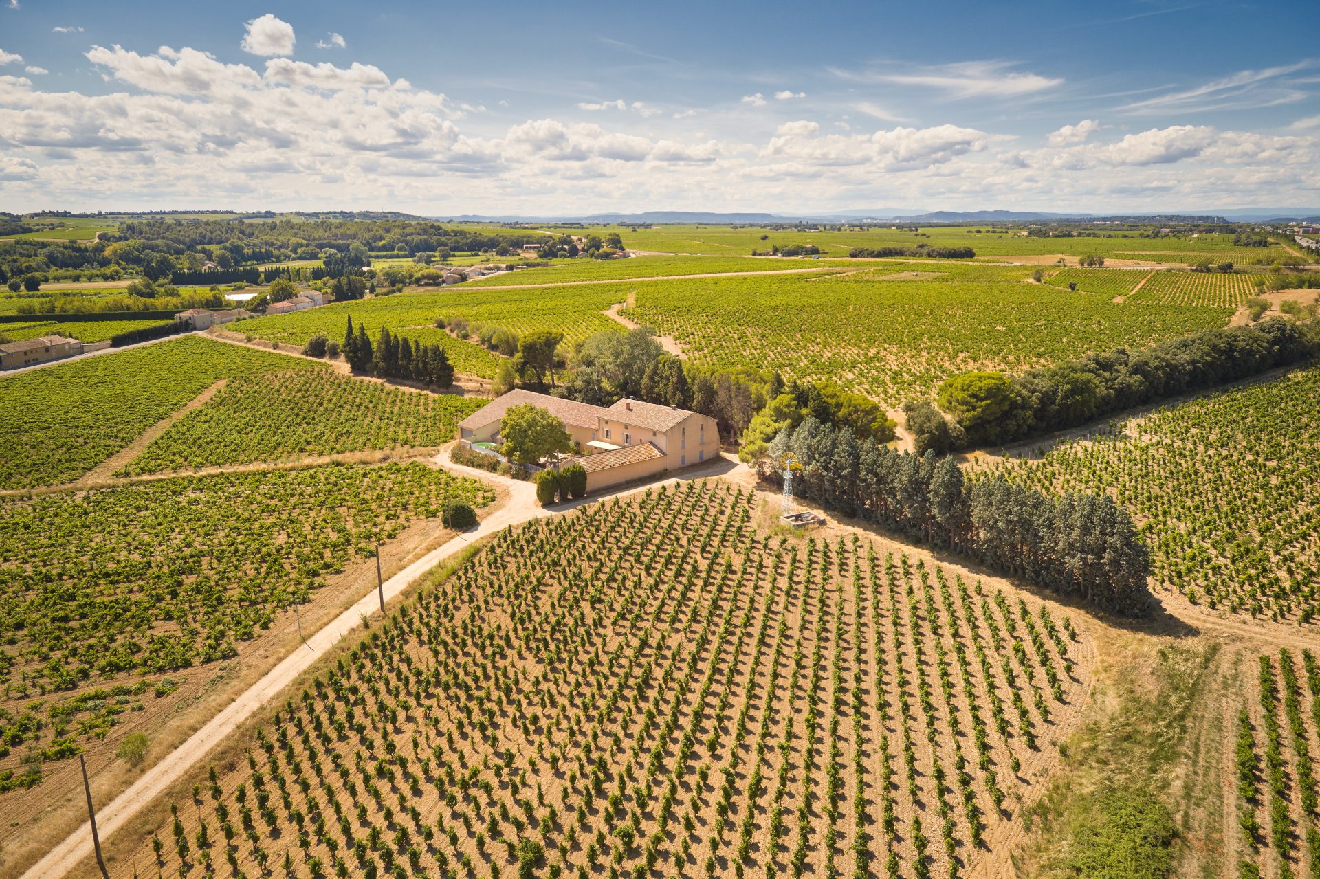 domaine de panisse aoc chateauneuf du pape (49)