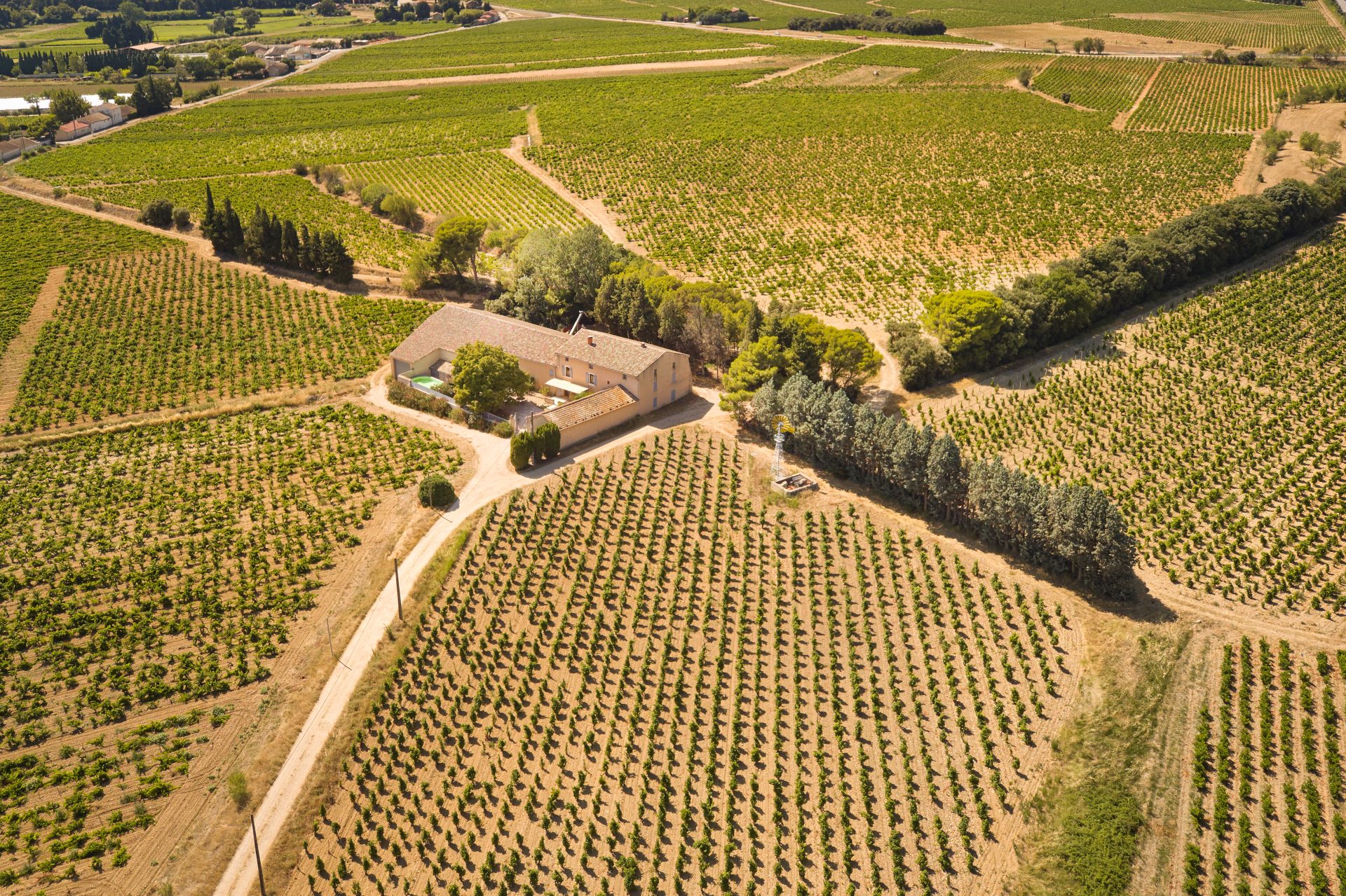 domaine de panisse aoc chateauneuf du pape (50)