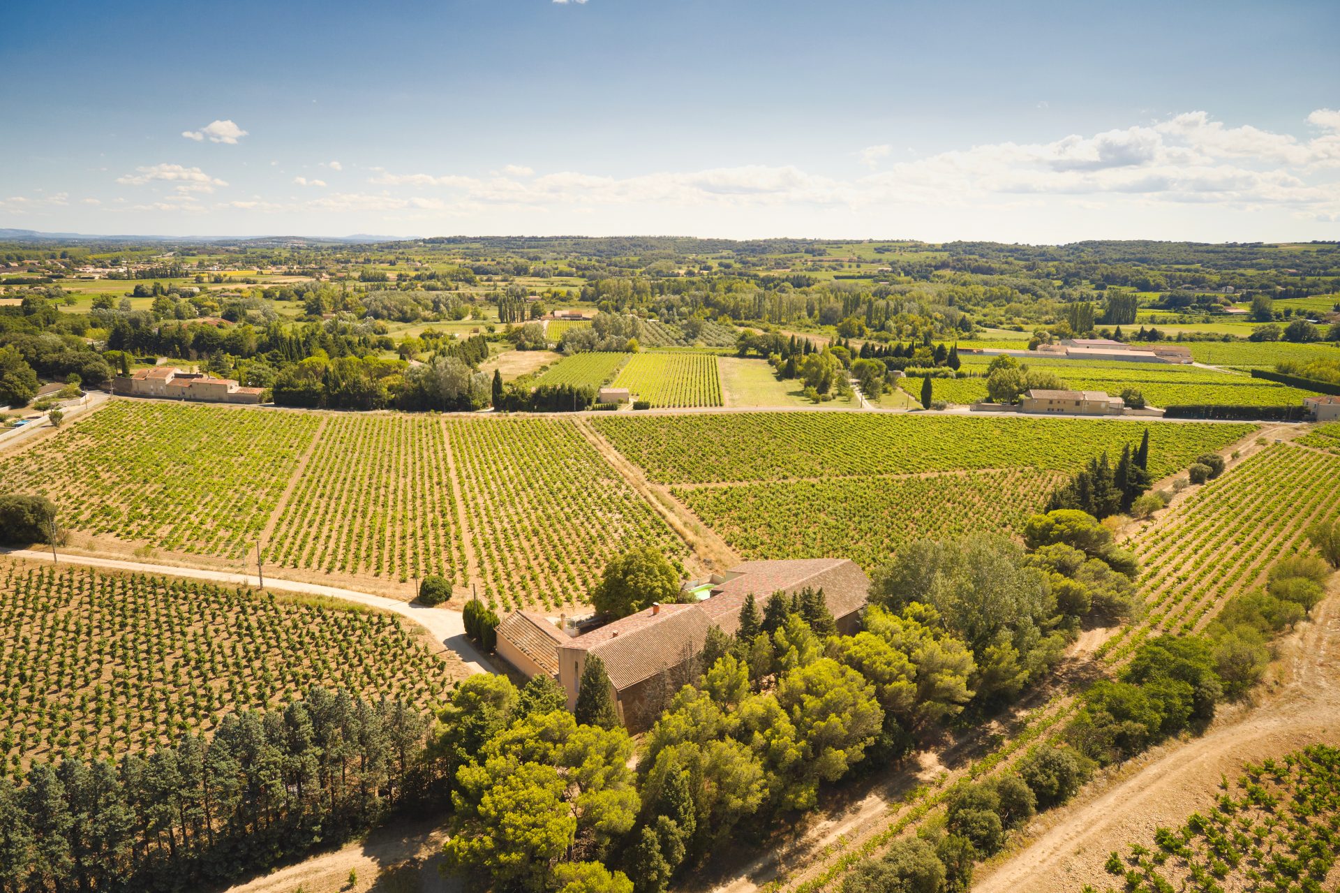 domaine panisse aoc cotes du rhone (10)