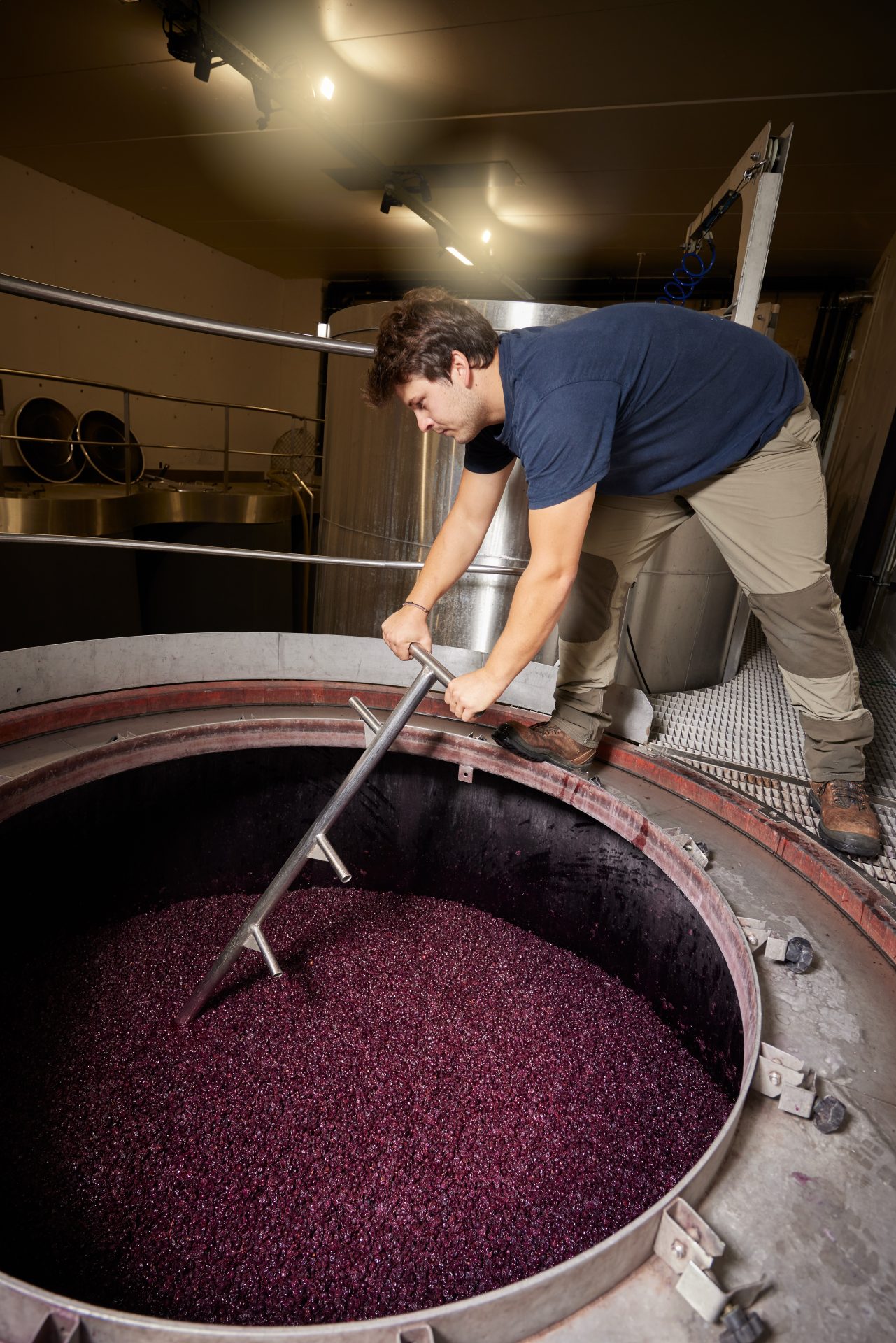 domaine panisse aoc cotes du rhone (51)