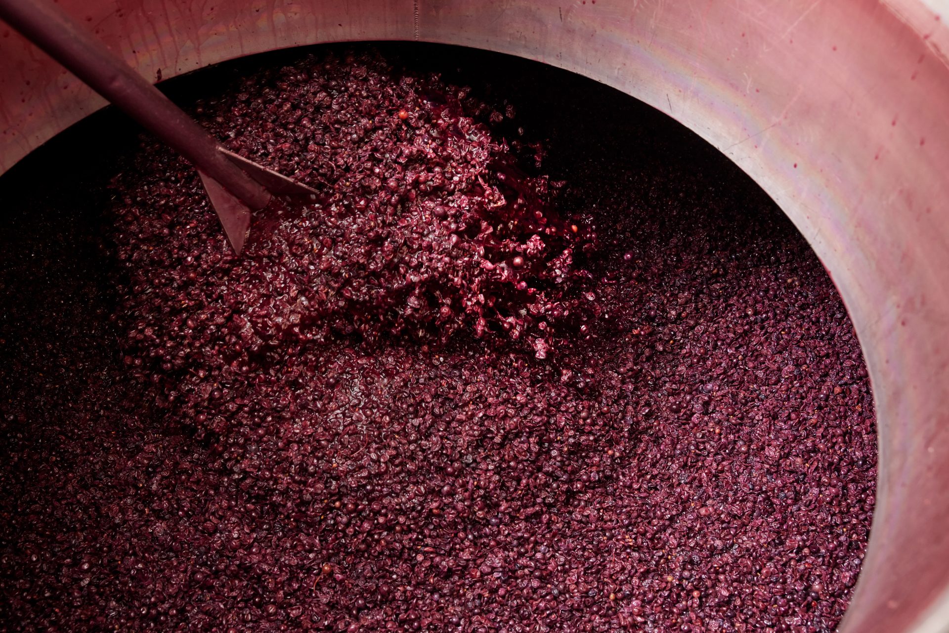 domaine panisse aoc cotes du rhone (57)