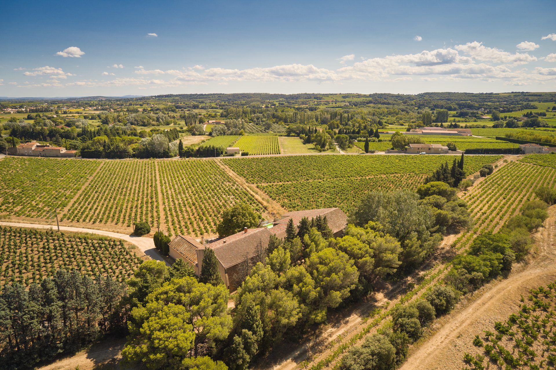 domaine panisse aoc cotes du rhone (8)